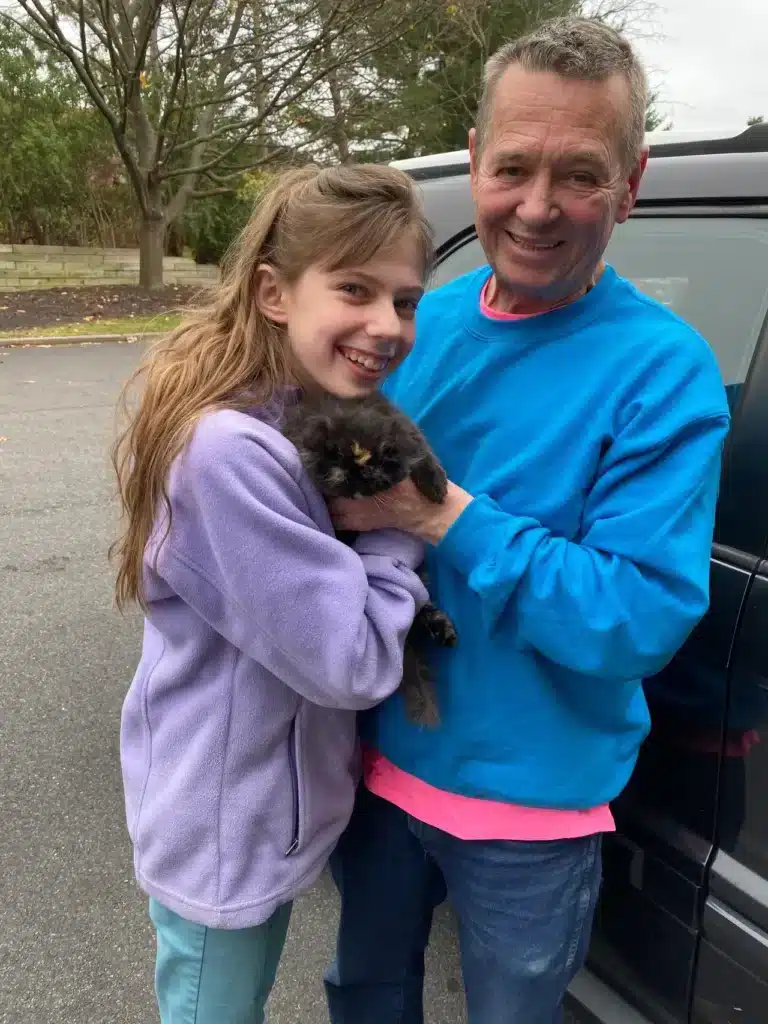 Kitten Delivery Albany Ny