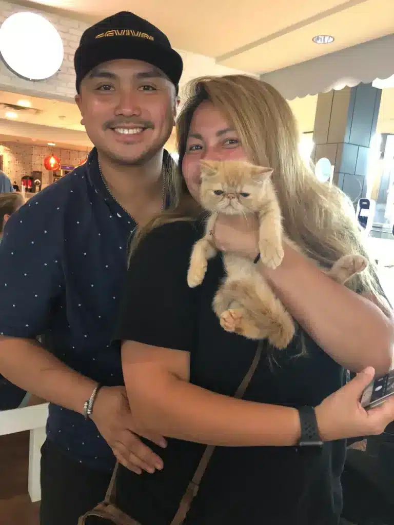 Bellspurr Kitten Deliver in Austin Texas