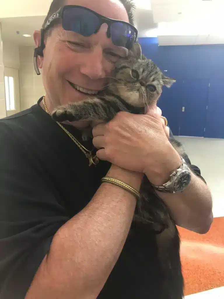 Deliver Kitten in Chicago Illinois