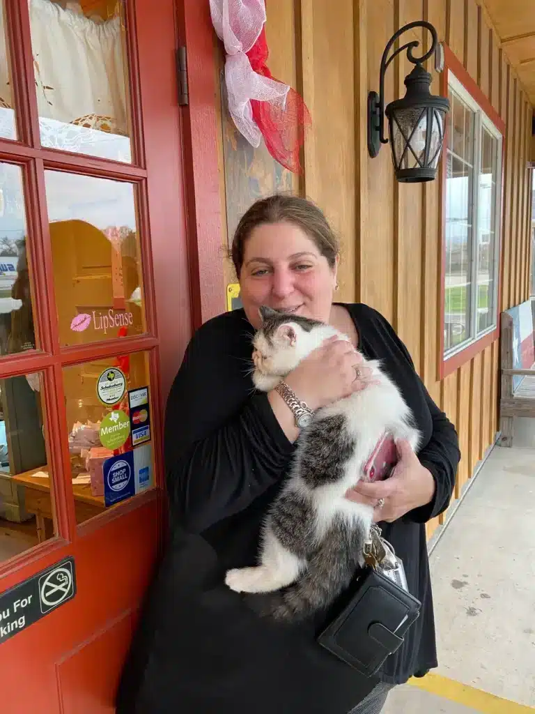 Kitten Delivery to Alexandria Louisiana