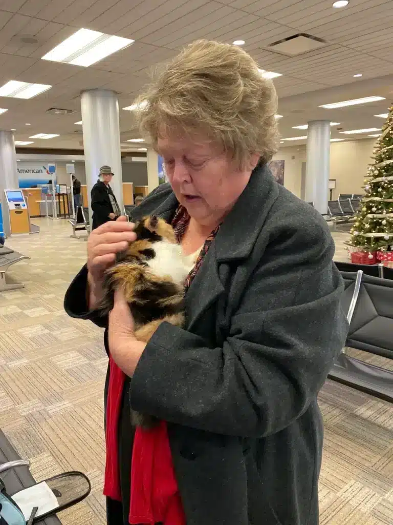 Sioux City Iowa December