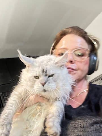 Our Black Silver  Shaded Maine Coon and Maine Coon Cat Breeders in Texas