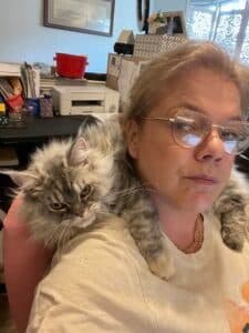 Maine coon kitten for sale in texas