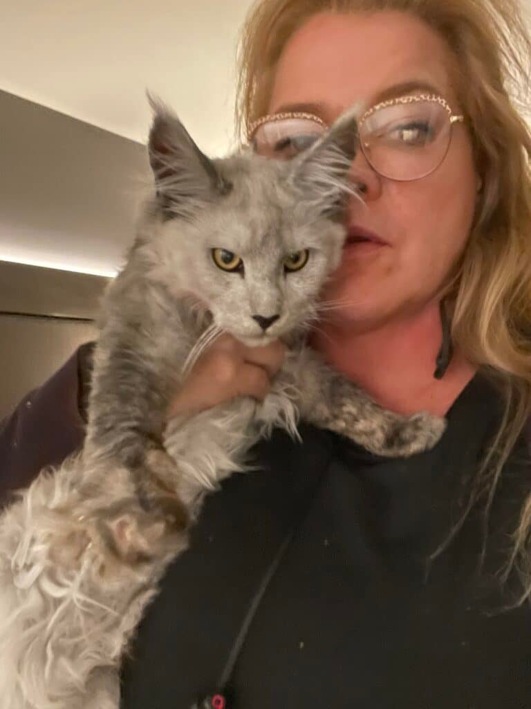 black-smoke-maine-coon-kitten-maine-coon-kitten-breeder