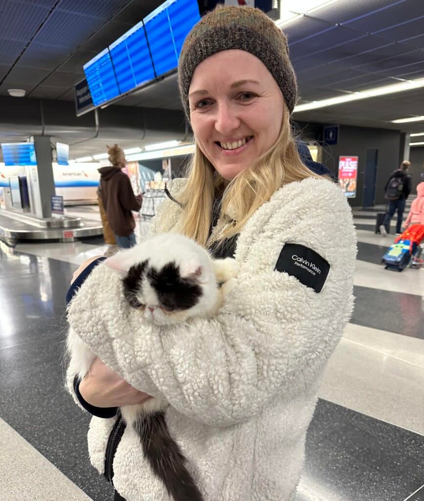 Bellspurr Kitten Delivery Chicago 2023