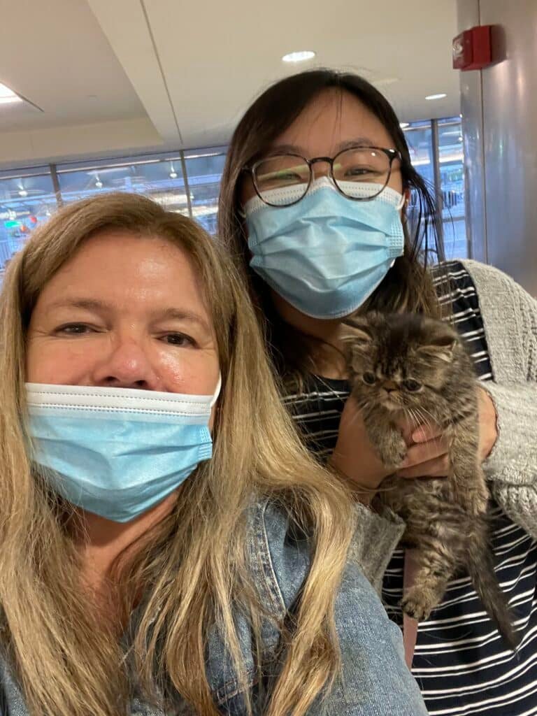 Salt Lake City Kitten Delivery