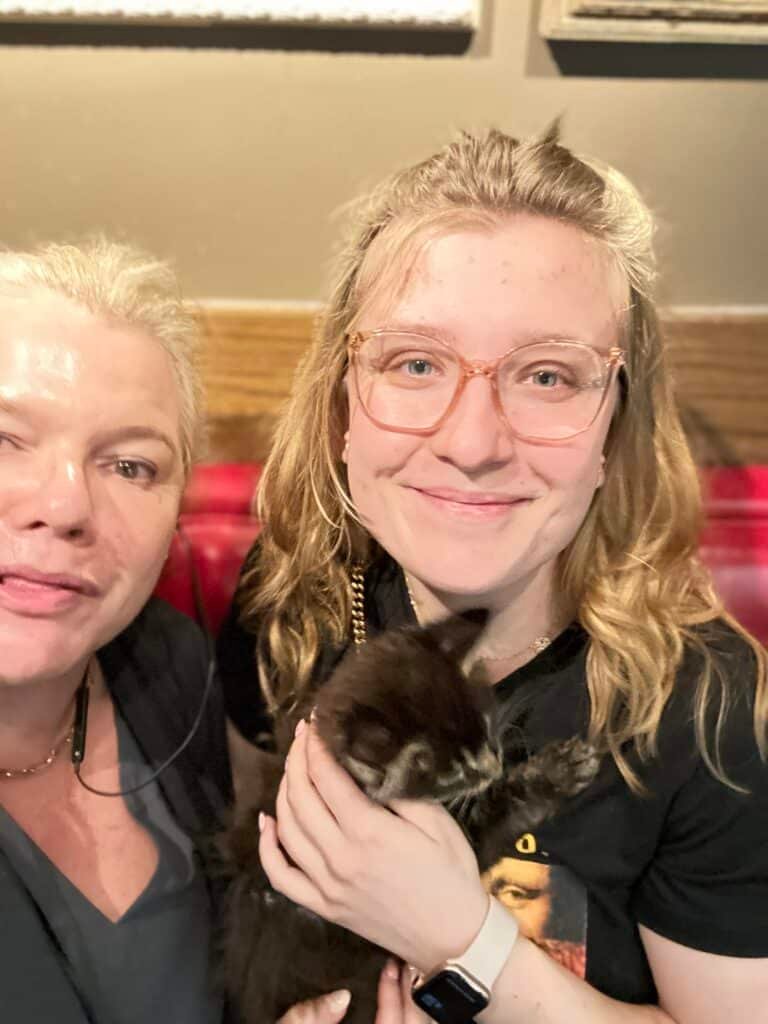 Maine Coon Kitten Delivery Atlanta Georgia 2023