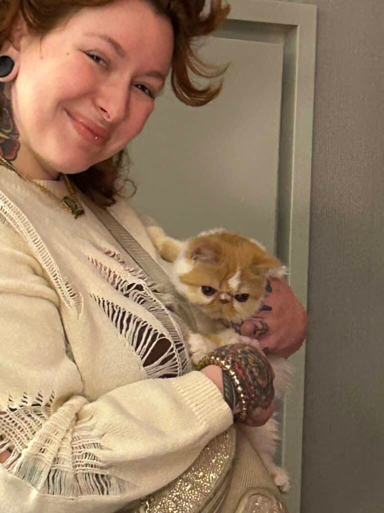 Kitten Delivery by Reputable Maine Coon Breeder New York