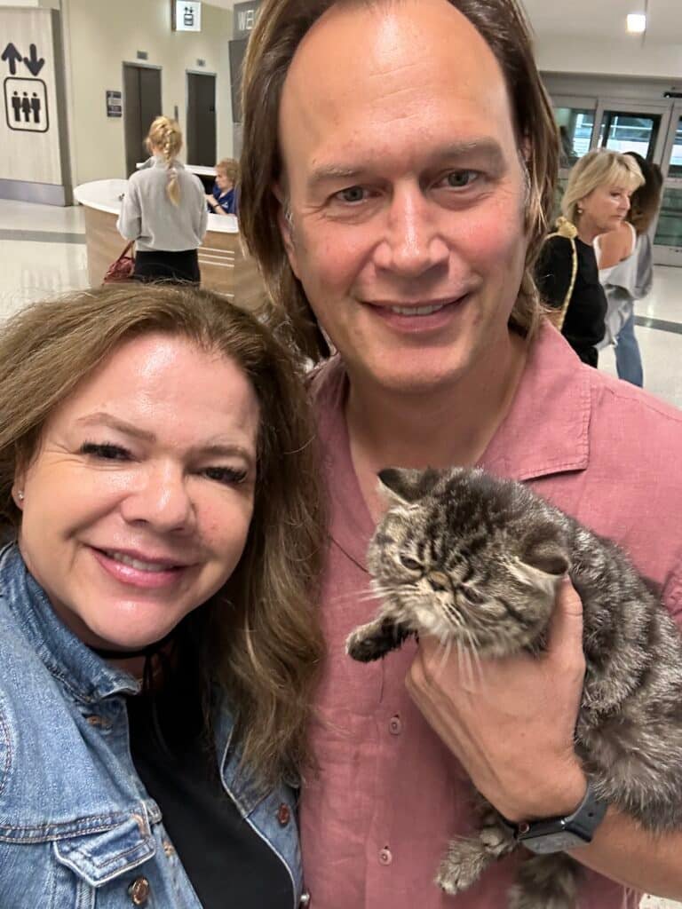 Kitten Delivery in Phoenix Arizona