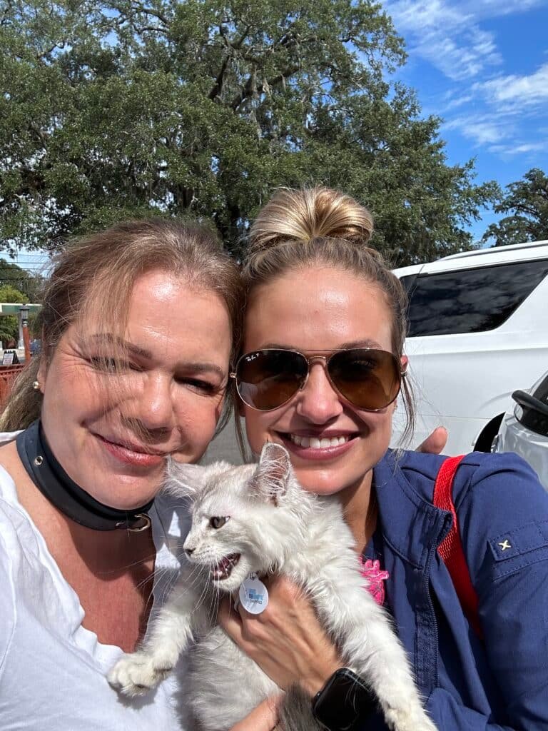 Maine Coon Kitten Delivery Service South Carolina