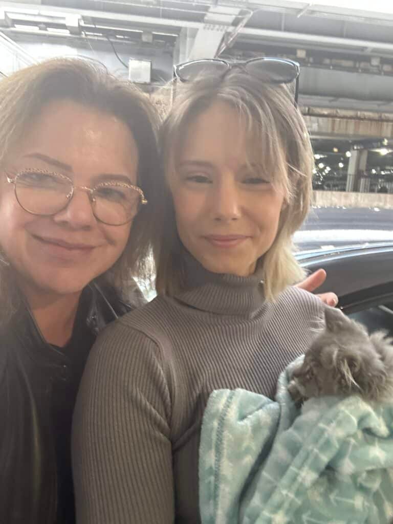 Maine Con Kitten Delivery in Boston