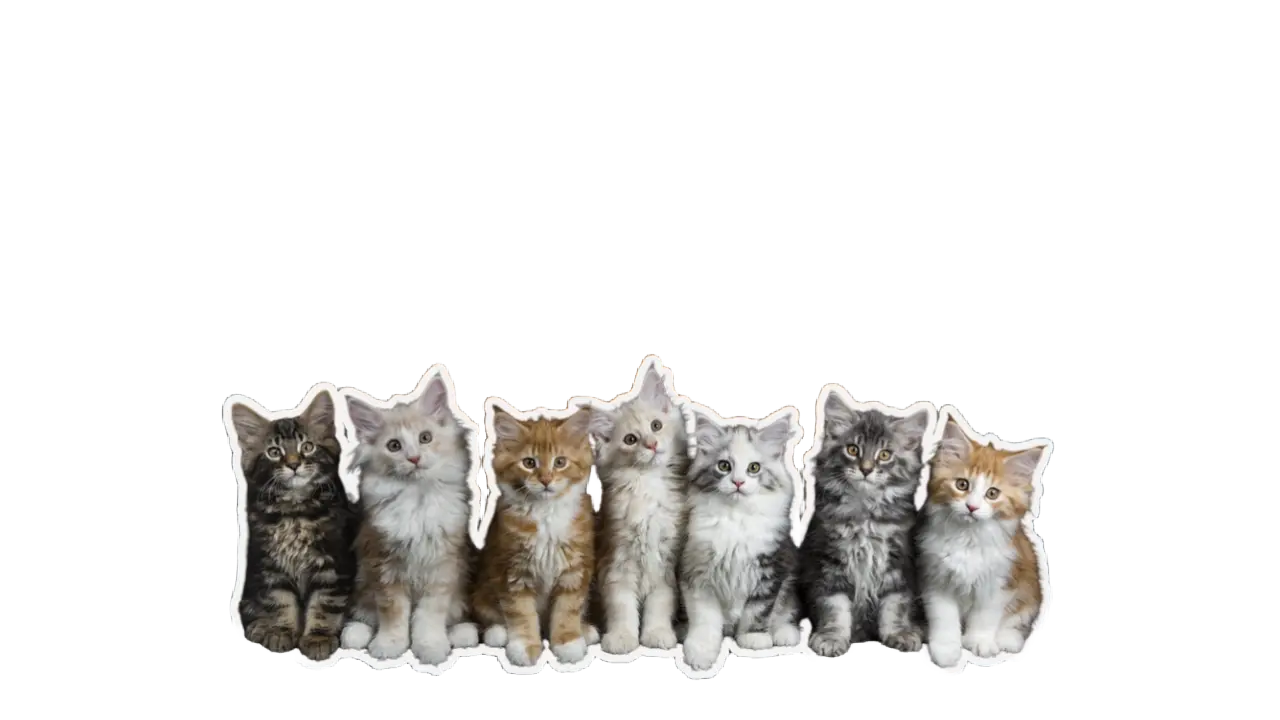 7f50d83a-de00-47be-8826-f605f8ef5ef8