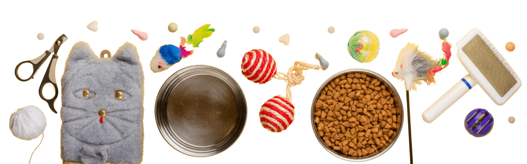 Maine Coon Kittens for Sale Toys and Accessories