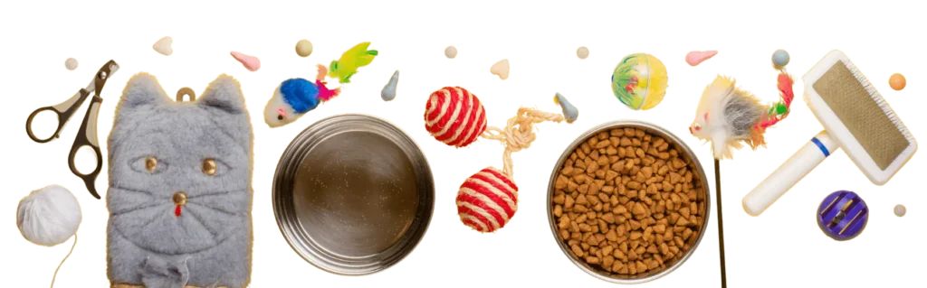 Maine Coon Cat Toys