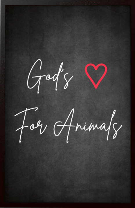 Illustration of Gods Love for Animals