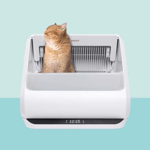 X5 Automatic Cat Litter Box Self Cleaning – Auto Plastic Bin