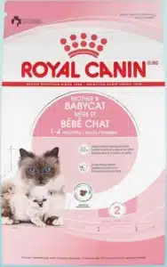 Royal Canin Feline Health Nutrition Mother & Babycat Dry Cat Food for Newborn Kittens and Pregnant