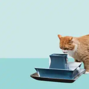 PetSafe Drinkwell Pagoda Pet Water Fountain (70 oz/2.1 L) Ceramic Cat Water Fountain