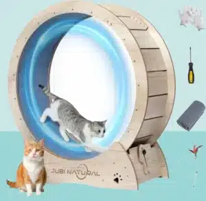 Cat Exercise Wheel, 40" Cat Running Wheel for Indoor Cats with Quiet Carpeted Runway
