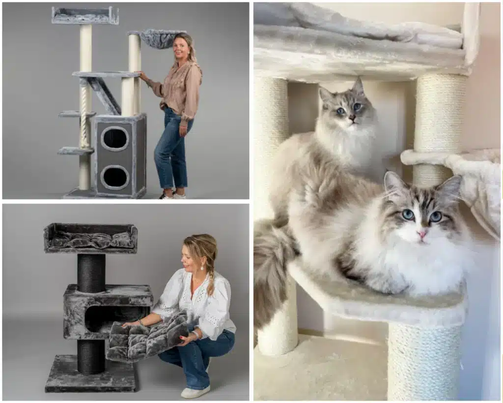 Cattreeking Maine Coon Cat Trees