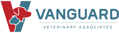 Vanguard Veterinary Associates Logo  Trusted Provider of Continuous Veterinary Care for Bellspurr Maine Coon Kittens Through Their First Year
