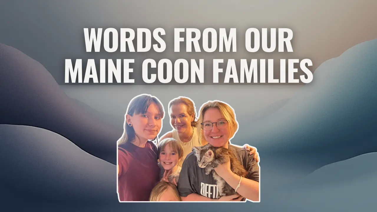 Group photo of a family holding a Maine Coon kitten, featured in Bellspurr Maine Coons customer testimonials
