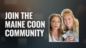 Join the Maine Coon community graphic featuring two people holding a Maine Coon kitten