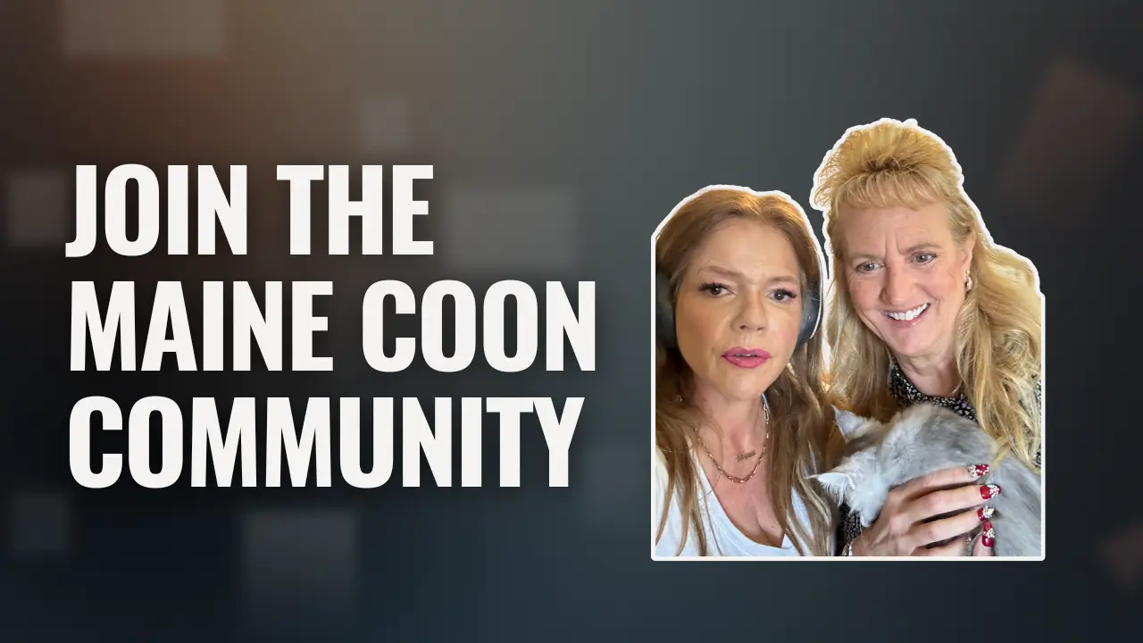 Join the Maine Coon community graphic featuring two people holding a Maine Coon kitten