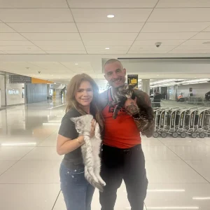 Bellspurr cattery Delivers two maine Coon Kittens to denver