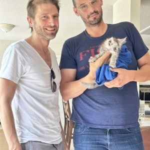 Bellspurr Maine Coons client review about buying a kitten