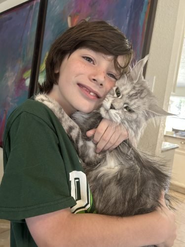 maine coon personality Boy cuddling a Maine Coon cat, showcasing their affectionate bond in a cozy home environment, emphasizing the social nature of Maine Coons as ideal family pets.