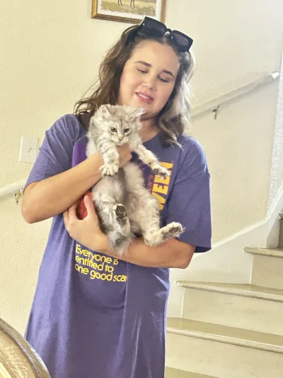 Silver Maine Coons Differences between Silver, Shaded, & Smoke Maine Coons