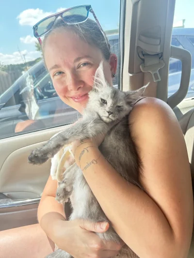 Differences between Silver, Shaded, & Smoke Maine Coons